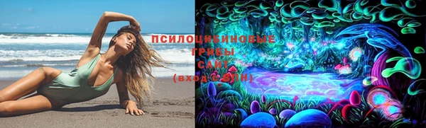 винт Баксан