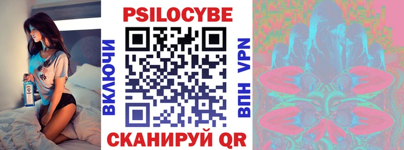 как найти наркотики  Богородицк  Псилоцибиновые грибы мухоморы 